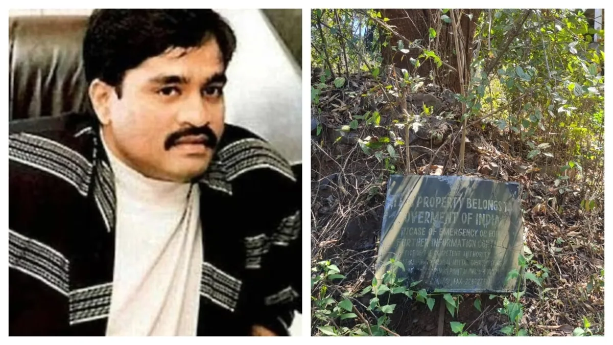 dawood — IN news