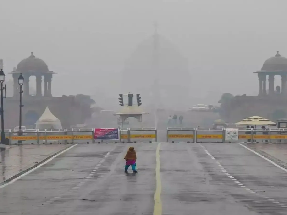 delhi weather — IN news