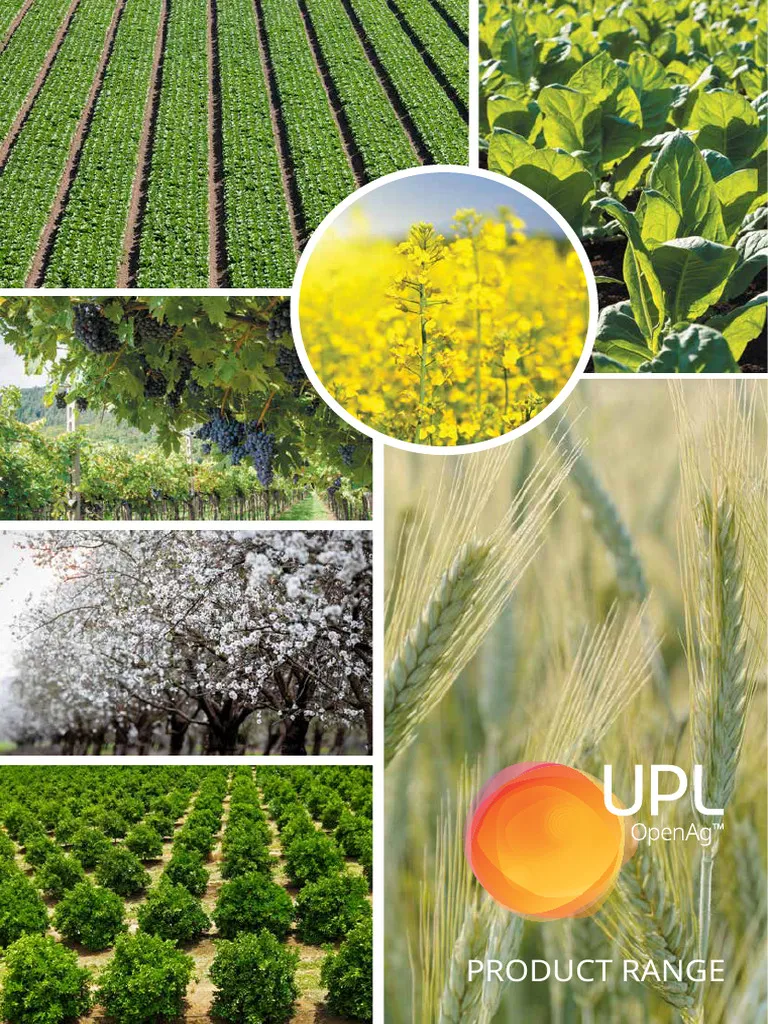 upl — IN news