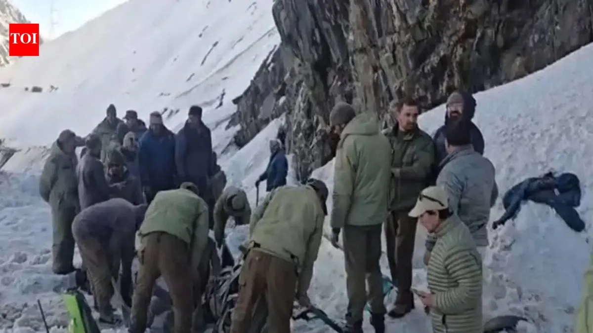 Zojila Pass Avalanche Tragedy Claims Lives