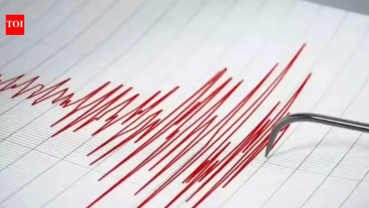 Earthquake Strikes Delhi-NCR: What Happened?