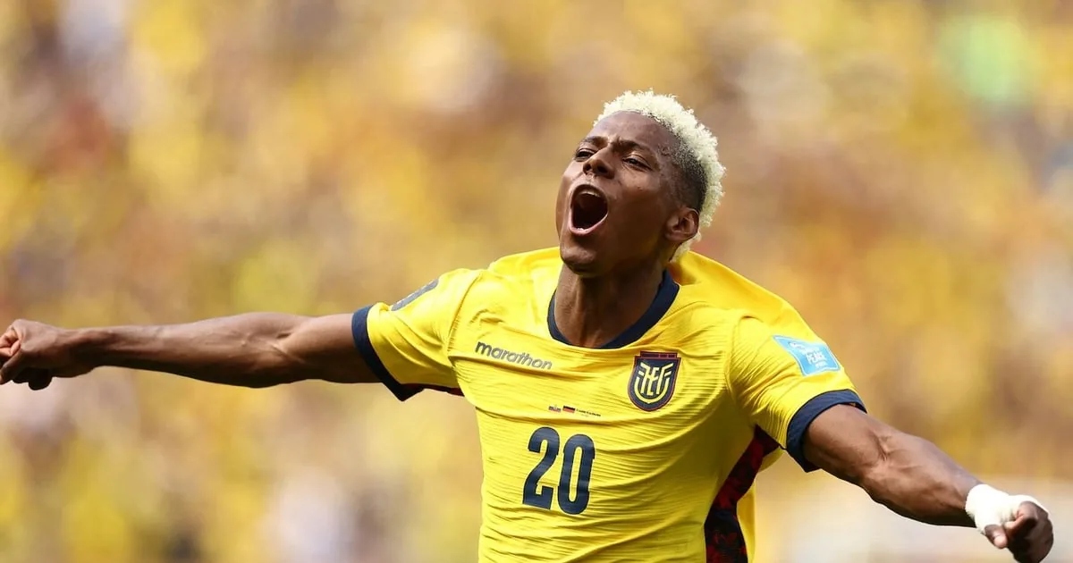 New York New Jersey Stadium hosts Ecuador and Germany in World Cup match