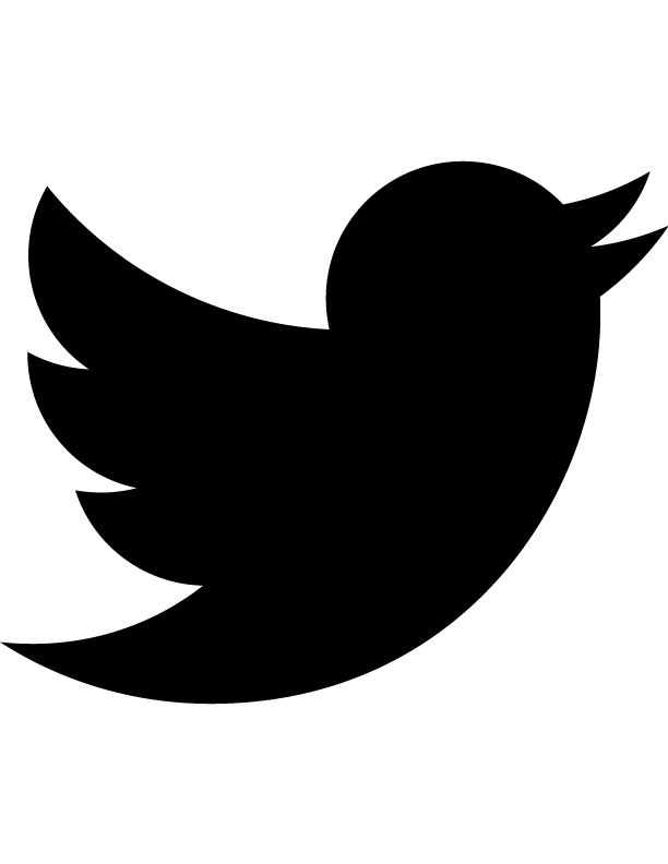 Twitter social icon